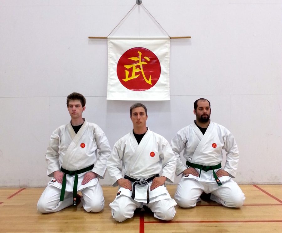 	Courtesy of Scott Langlais 

	Scott Langlais (center) has been teaching martial arts classes for UA students since 2010.