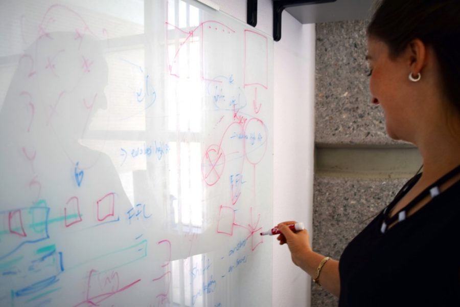 	Joanna Masel, an associate professor of ecology and evolutionary biology, demonstrates her work on a board in the Life Sciences South building. Masel is currently studying the messiness in biology.