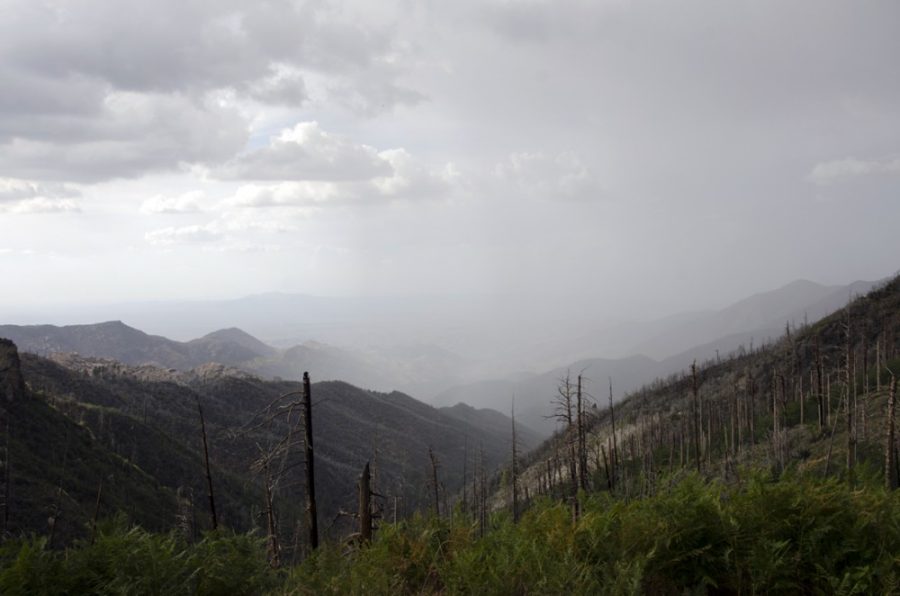 A daily monsoon storm on top of Mount Lemmon as seen from General Hitchcock Highway just outside of Summerhaven on July 8. It was previously believed that the ocean was the main moisture source of the North American Monsoon, but UA researchers have found that the main contributor to the NAM is actually land sources.
