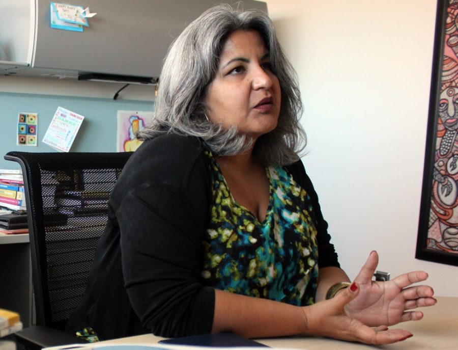 UA professor Anita Bhappu speaks about her recently launched website, Sharing Tribes, during an interview in her office on Oct. 27. Sharing Tribes was founded on the premise of creating a forum where people in a community can trade household items.