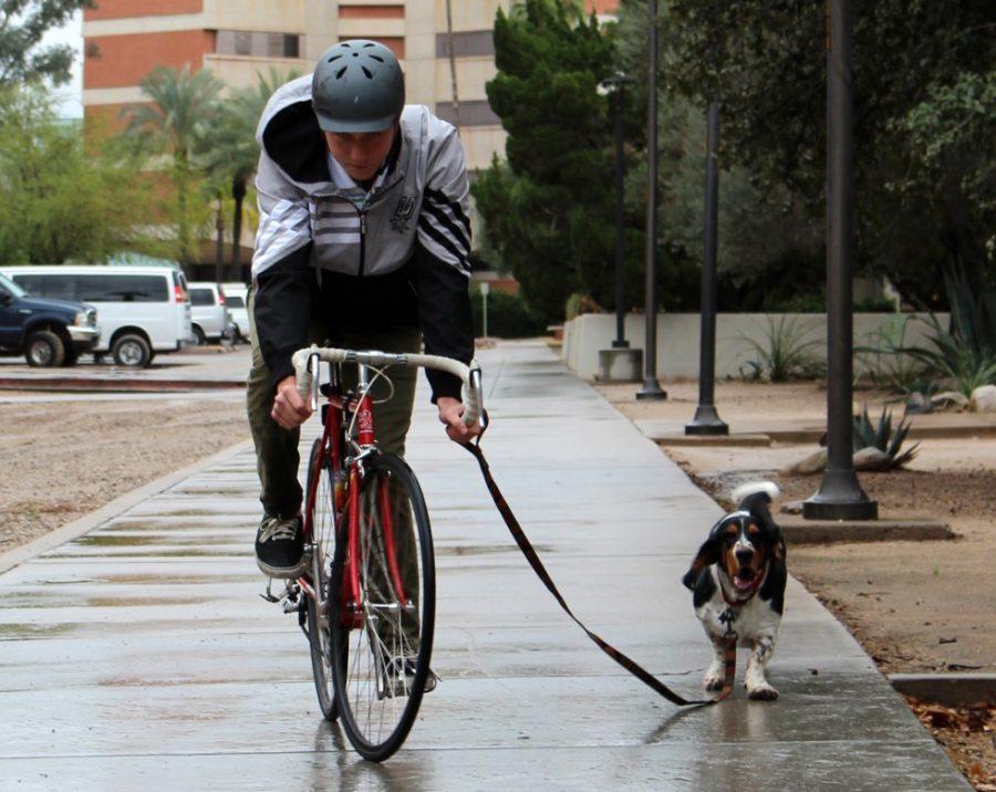 Biomedical sciences senior Colby Weaver rides his bike with his dog, Dirty Mike, on Tuesday. UA surgeons have found that wearing a helmet protects against minor injuries such as scrapes and bruises after a fall but not against internal bleeding.