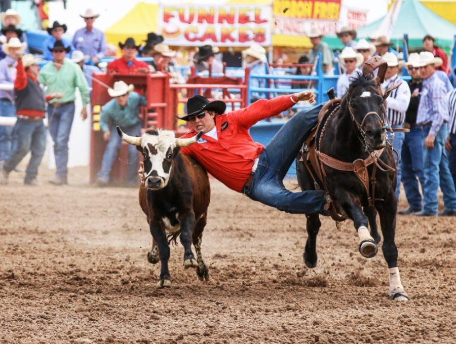 Courtesy of Jennifer VimmerstedtA cowboy is thrown from his horse as another cowboy collides with him during the Tucson Rodeo, or La Fiesta de los Vaqueros, at the Tucson Rodeo Grounds in February 2014. Rodeo Week begins Saturday.