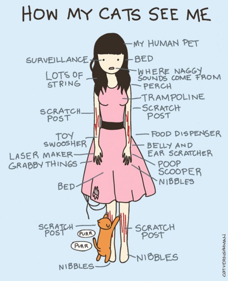 Courtesy of Yasmine SurovecA comic from Yasmine Surovecs blog Cat Versus Human. Surovec will be speaking at “Cats, Cats, Cats: A Feline Obsession” this weekend.