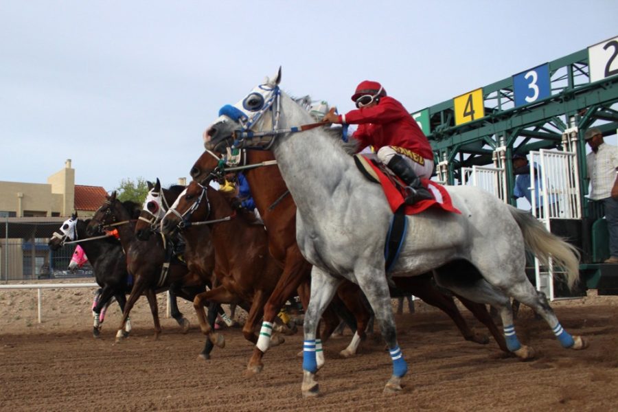 Professional jockey Fernando Gamez, 54, leads and later wins the eighth and final race of the day at Rillito Park racetrack on Sunday. A memorial race was held on Saturday at the racetrack in remembrance of UA alumnus Pete Selin who passed away on Jan. 27, 2006, from chronic leukemia.