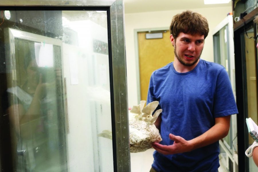 Parker Evans, MycoCats manager and a second year masters student in plant pathology at the UA, explains how the MycoCats grow mushrooms in the lab.  Evans is studying this fungi to find ways to naturally recycle and degrade toxins.