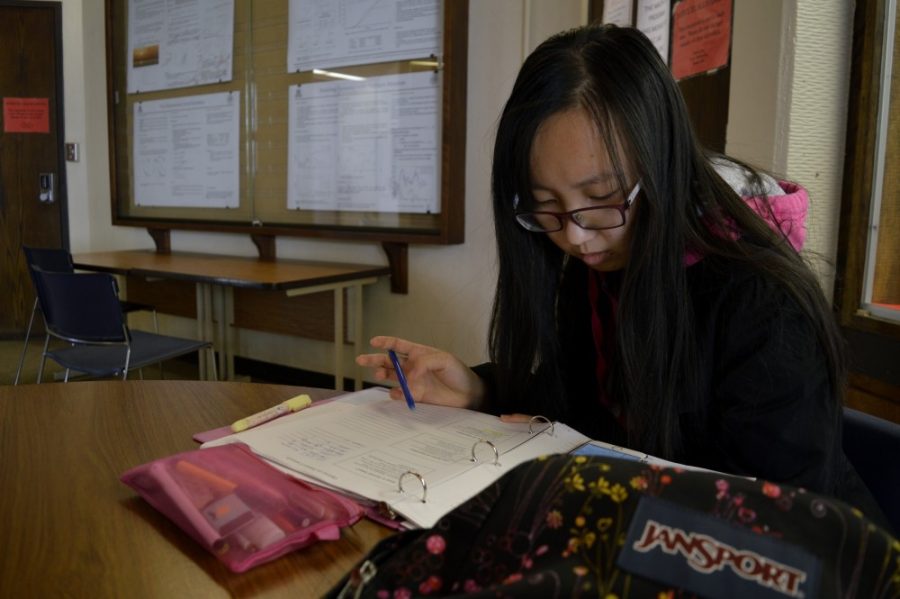 Mathematics and Economics Senior Shilu Feng works on her homework on Friday, Dec. 4 in the Mathematics building.