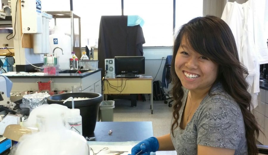 Lindsey Chew preparesa primary cell culture in the Khanna Lab on the UA College of Medecine campus in October 2015.