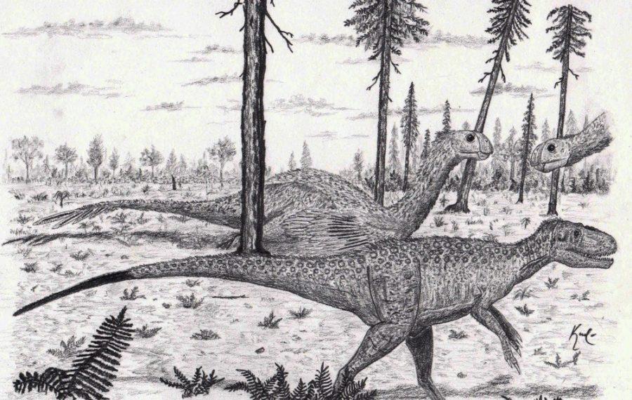 A sketch of an oviraptorsaur, a dinosaur similar to one of the fossils found in Idaho. The discovered bonebed is a trove of information about late Cretaceous animals like the oviraptorsaur. 