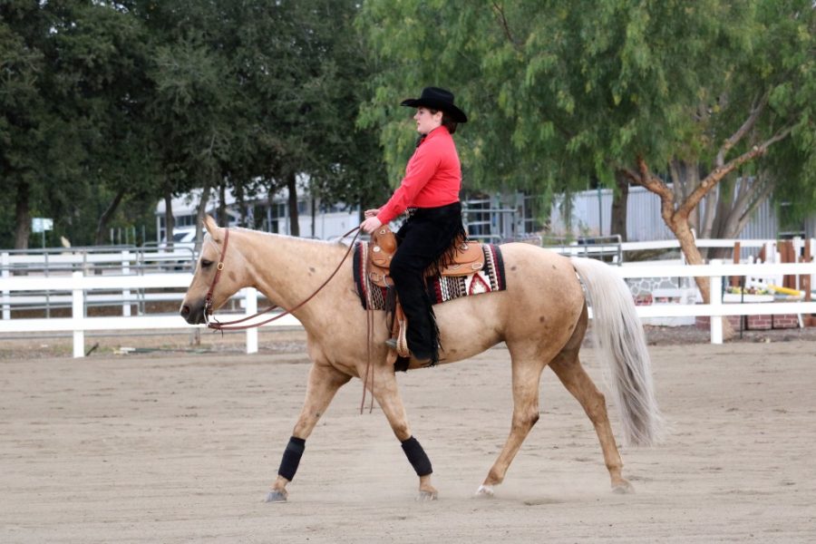 Senior Mickey Bagley competes in the Open Horsemanship on Jan 29 at Cal Poly Poloma. Bagley individually qualified for Semi Finals.