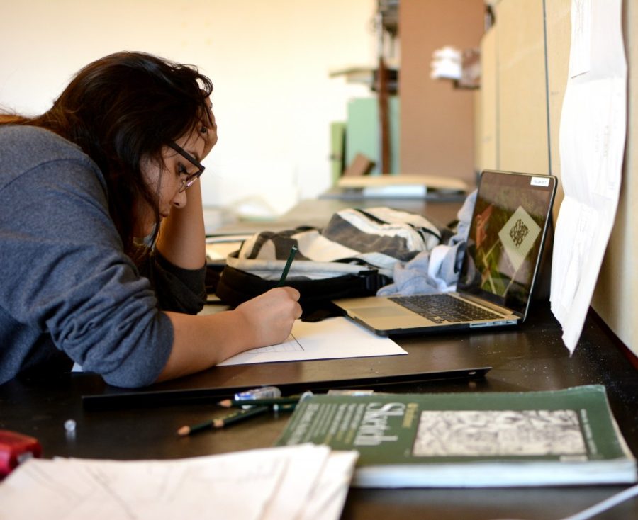 Paloma Colacion, an architecture sophomore, works on a project in the design studio on Tuesday, March 3. Colacion often pulls all-nighters working on her coursework and averages about four hours of sleep per night, even factoring in weekends, she said.