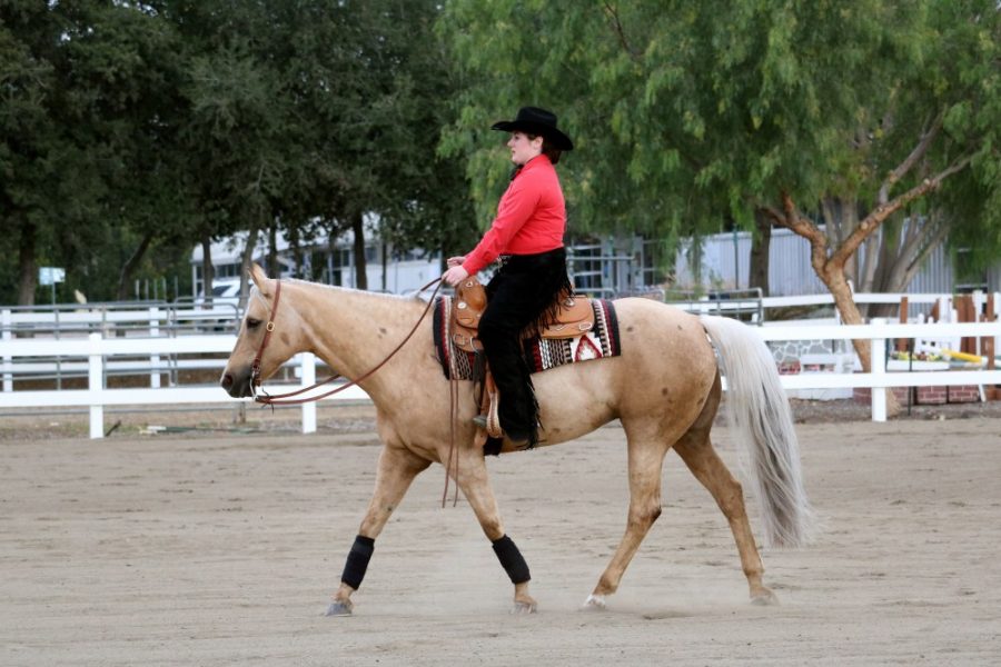 Arizona equestrian open division rider Mickey Bagley competes in the open horsemanship on Friday, Jan. 29 at California State Polytechnic University, Poloma. The UA Equestrian Club is one of the newer clubs to join the ranks of clubs participating in Spring Fling this year.