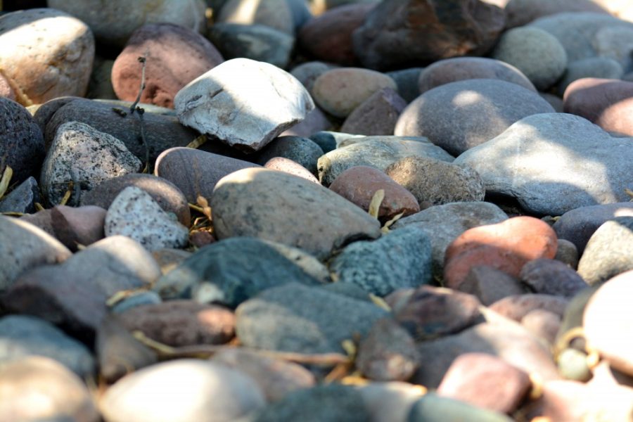 Some rocks outside the new Arizona Geological Survery location on Sixth Street on Saturday, Sept. 10.