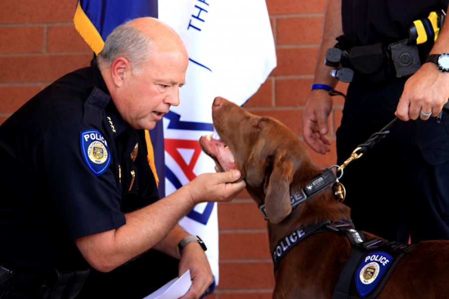 UAPD Chief Brian Seastone swears in Trigger, UAPDs newest K9 officer, on Thursday, Sept. 22 outside the UAPD Police Department.