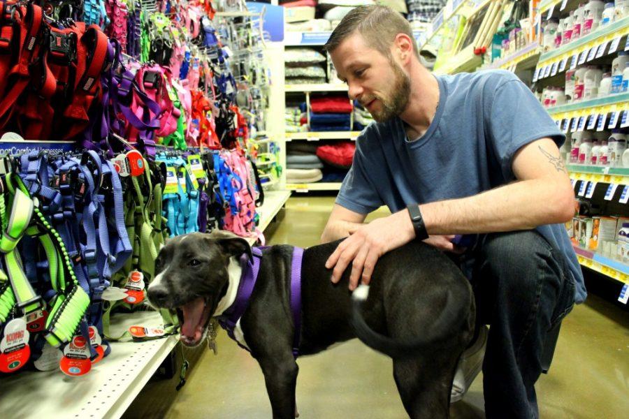 Derek Delgenio shops with his dog Amaya, an 8-month-old Pitbul, inside a PetSmart store on Monday, Oct. 3, in Tucson, Ariz. 