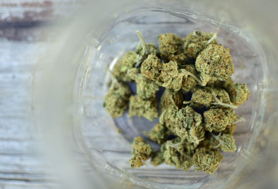 Arizona poised to vote on legal marijuana with Proposition 205 on Nov. 8