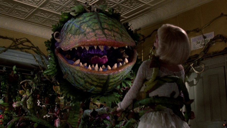 Still from the 1986 film Little Shop of Horrors.