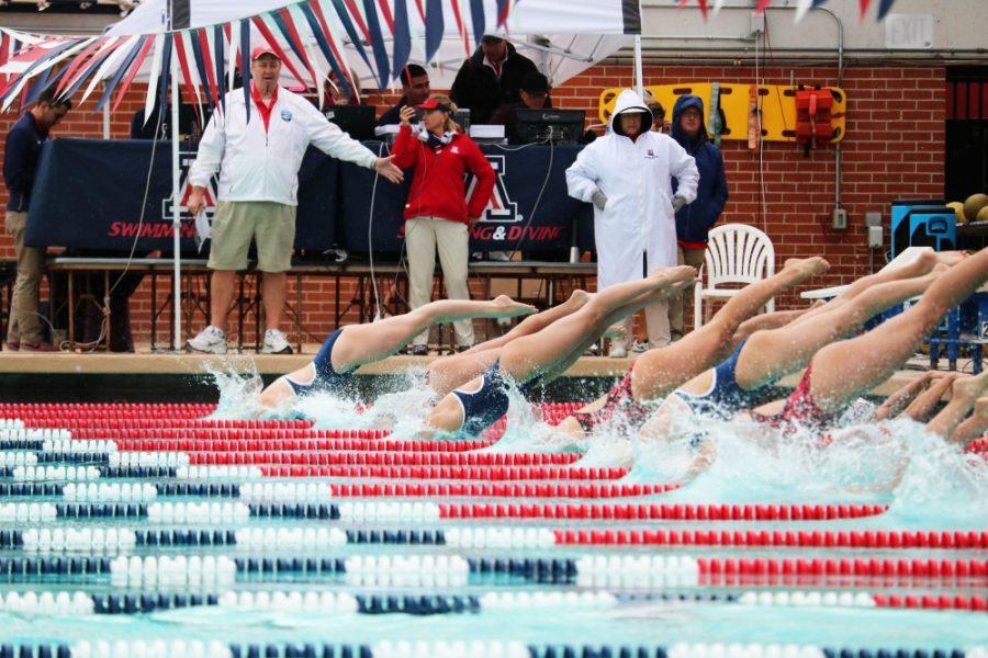 Swimmers from the UA and California teams dive into the pool during the swimming and diving event on Jan. 20.