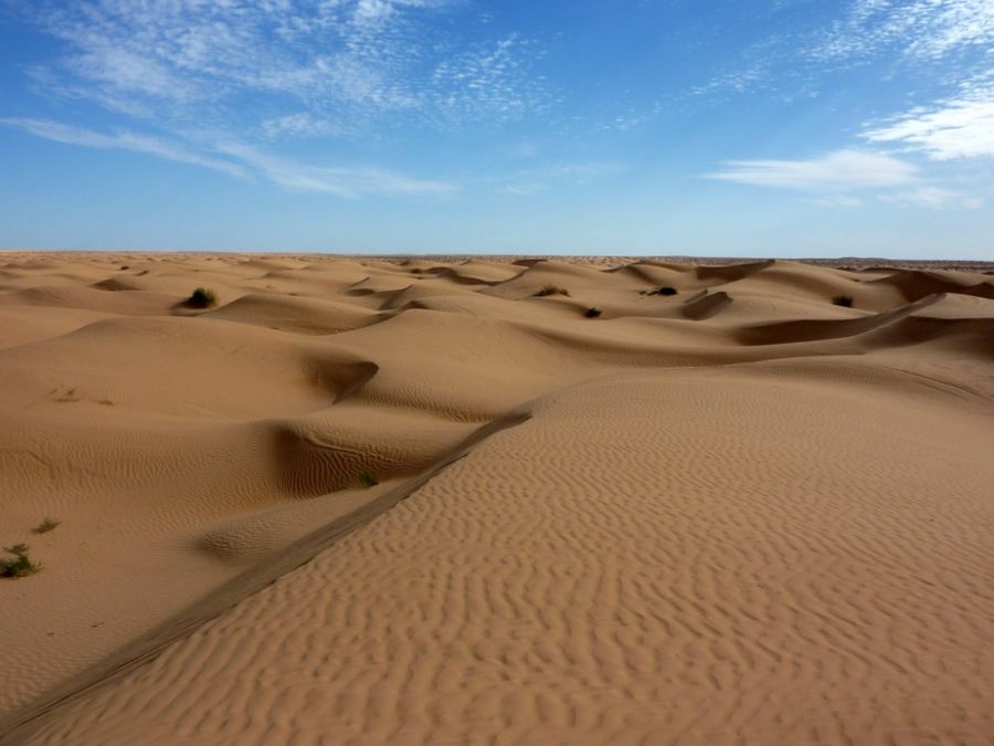 A view of the Sahara Desert on Jan. 19, 2010. Thousands of years ago, the Sahara was green and verdant.