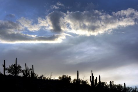 Saguaro cacti, ocotillo and mesquite trees dot a ridgeline in the Pusch Ridge Wilderness near Tucson, Ariz. on Tuesday, Feb. 14. (Alex McIntyre/The Daily Wildcat)