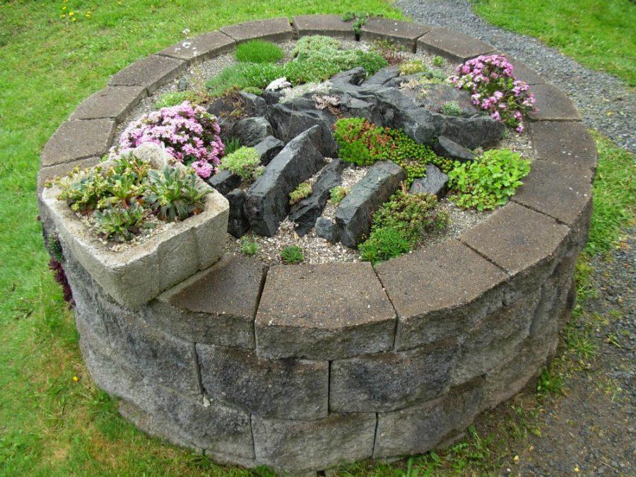 A small garden sits in a pavestone planter. Container gardening is an accessible hobby for students.
