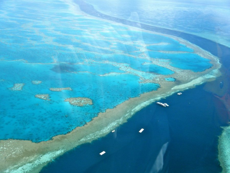 An+overhead+view+of+the+Great+Barrier+Reef+at+the+Whitsunday+Islands%2C+Australia+on+Dec.+27%2C+2009.+The+reef+is+experiencing+an+ongoing+bleaching+crisis.