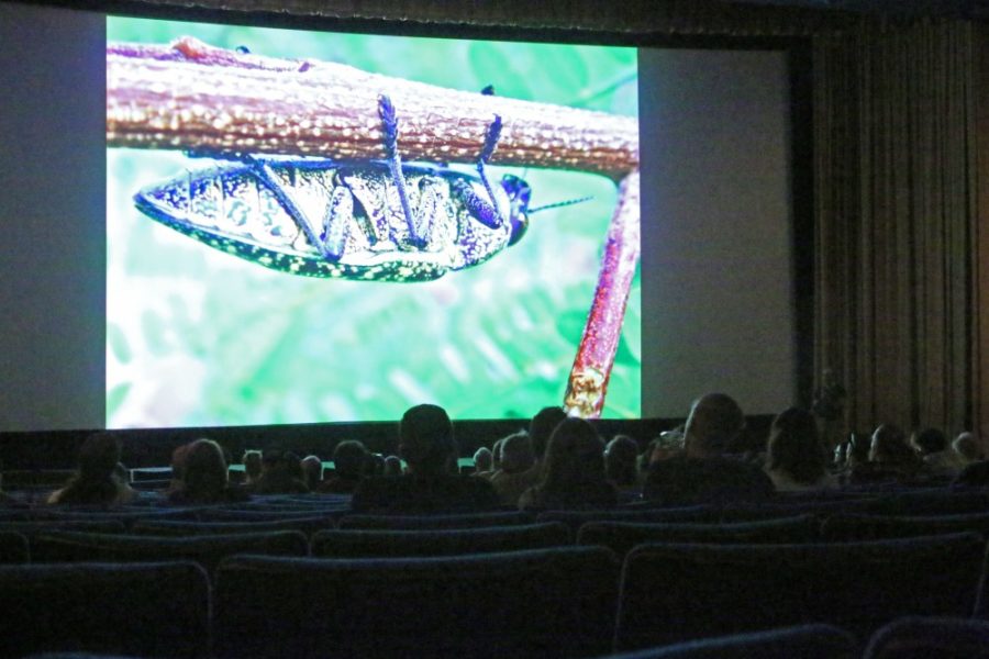 The Loft Cinema shows their Science on Screen showing of Mad Max: Fury Road on April 19.The showing touched on many ecological and environmental topics unique to Southern Arizona, before diving into wilderness survival tips as a primer for the post-apocalyptic action film.