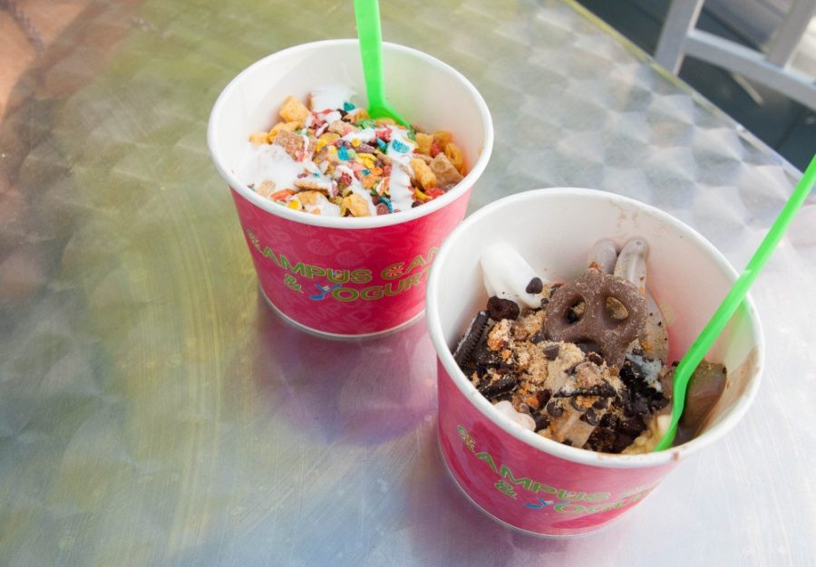 Frozen yogurt from Campus Candy located on University Avenue. Campus Candy offers a variety of flavors and toppings for students to choose from.