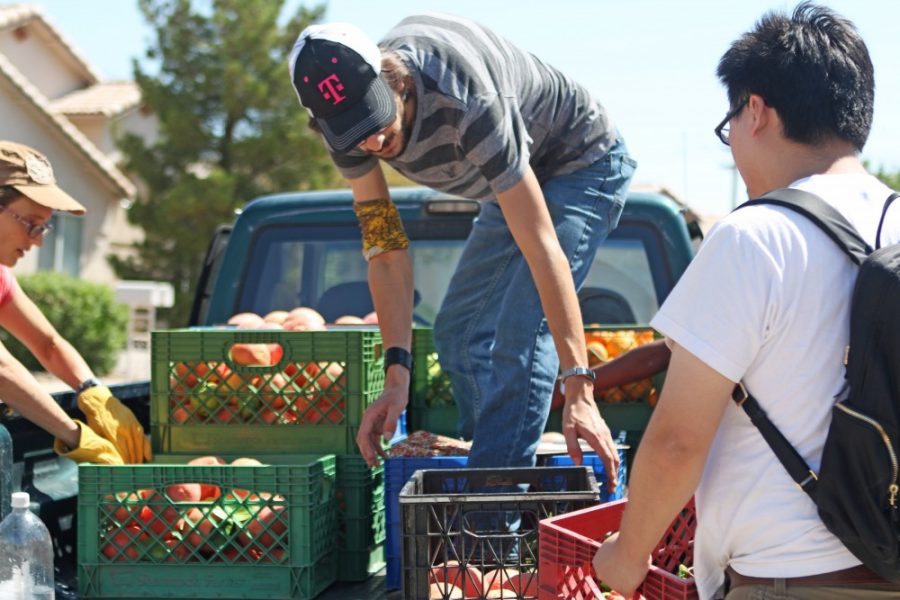 Jack Speelman, center, helps load harvested fruit into trucks to be shipped back to headquarters on June 9. Trees and plants that produce edible fruit are more common than one may think; Iskashitaa utilizes both a network of homeowners and their knowledge of the area to establish harvesting locations.