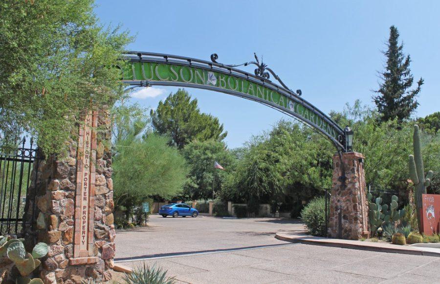 Tucson Botanical Gardens, located on 2150 N. Alvernon Way, is home to many plants of Southern Arizona. It has 25 different gardens, striving to be the “best small, public garden in America.
