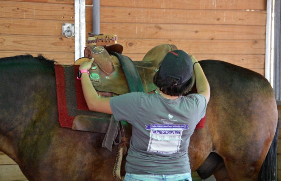 Malissa Mada learns how to properly saddle her horse in an Intro to Horsemanship course at the University of Arizona’s Equine Center. Eleven horses are enrolled in the course to both learn and help teach students.