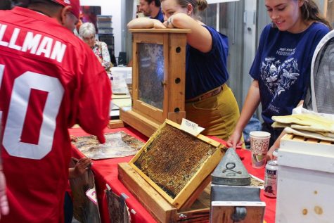 The bee section at the Arizona Insect Festival on Oct. 1 at the University of Arizona's Environment and Natural Resources 2 Building.
