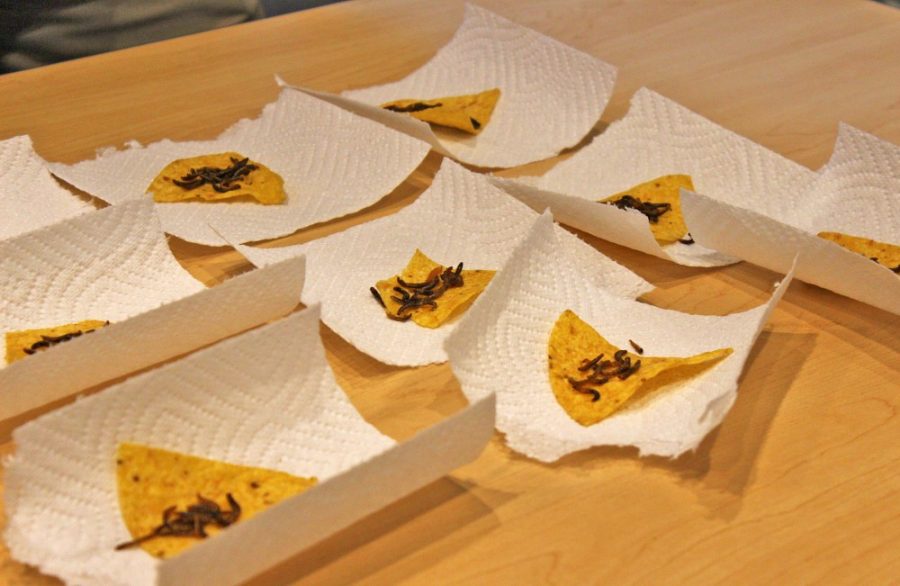 Mealworms served on chips at the Arizona Insect Festival on Oct. 1 at the University of Arizonas Environment and Natural Resources 2 building. The insect-eating booth was one of many stations at the event.