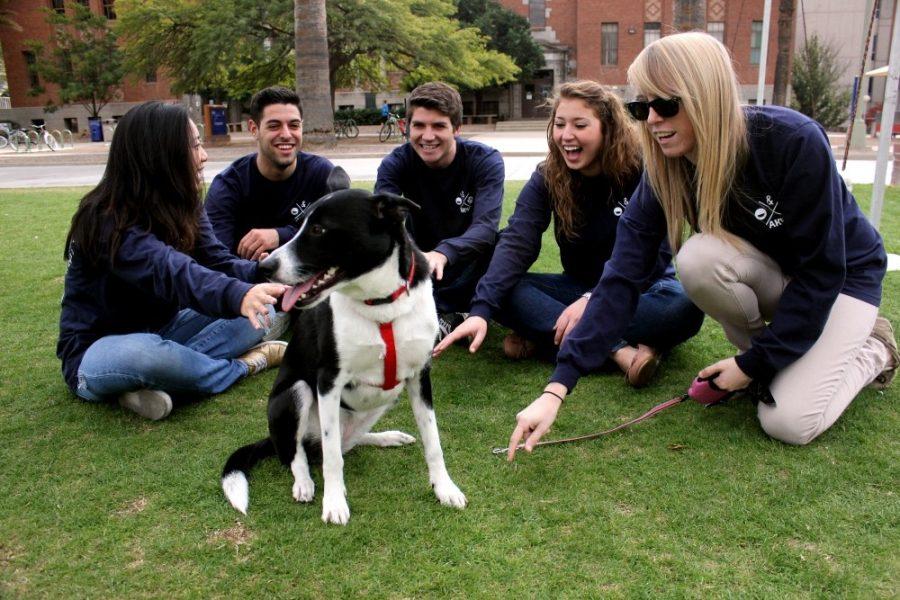 Stephanie Ho, Mike Vicidomini, Jason Kiesel, Rachel Heob and Lyndsey Edmonds play with Marlie, an adopted dog, on the UA Mall on Dec. 8, 2013. Activities like this are designed to help students alleviate end-of-the-semester stress.