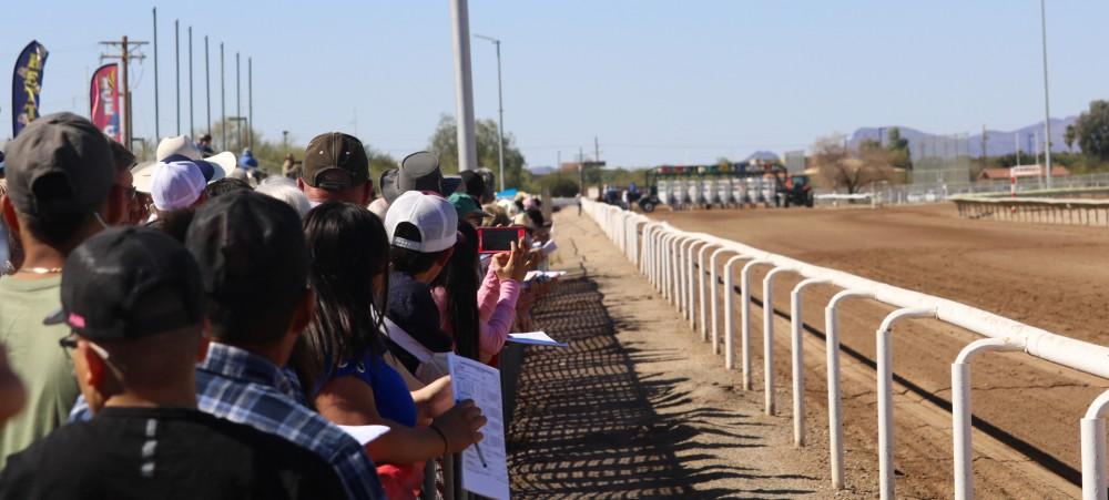 Spectators wait in anticipation for the race to start at Rillito Racetrack on Feb. 11.