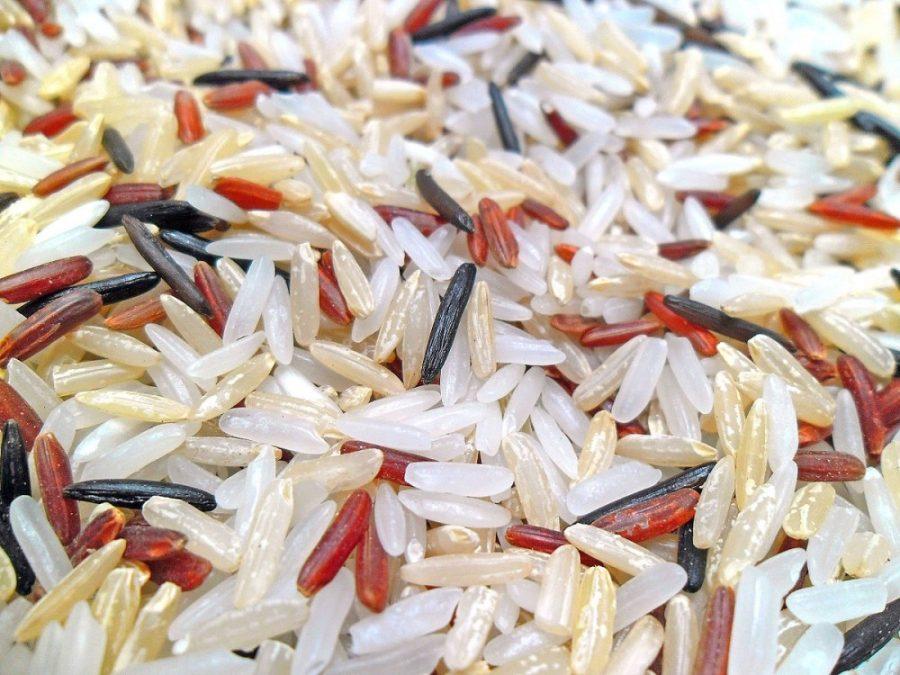 Rice has been used by many cultures to sustain their populations. According to Dr. Rod Wing, research being done today could help different varieties of rice feed even more of the worlds population.