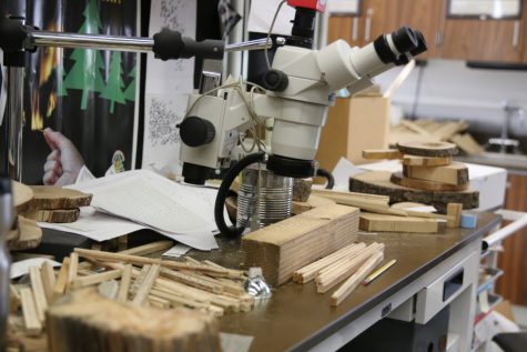 The UA Laboratory of Tree Ring Research is the premier dendrochronology center of the world, with wood samples sent from around the world requested to be analyzed. Dendrochronology can be used to study both raw lumber as well as wood used in man-made objects like violins and structural beams.