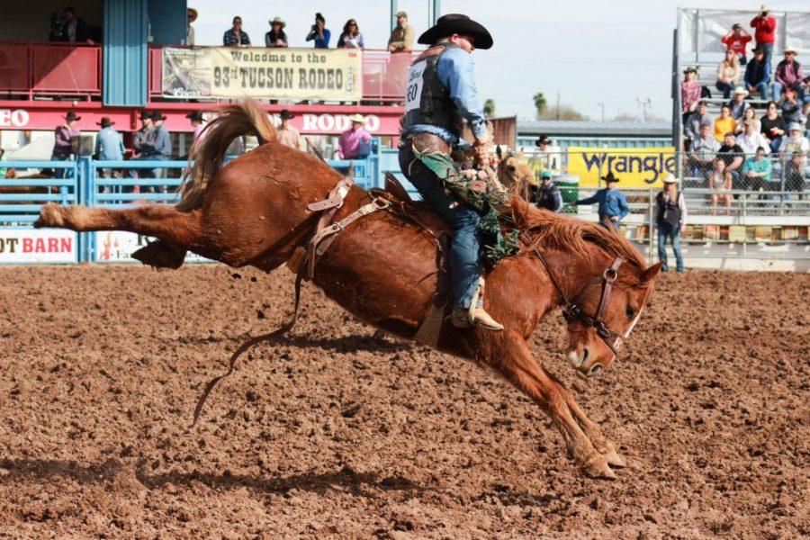 Dean+Wadsworth+from+Ozona%2C+Texas+rides+his+horse+in+theSaddle+Bronc+Riding+event.+Catching+him+mid+air+as+his+horse+bucks+him+around+the+area%2C+he+manages+to+stay+on+longer+than+most.+The+Saddle+Bronc+Riding+event+was+the+4th+event+of+the+opening+day+of+the+93rd+Annual+Tucson+Rodeo+on+Saturday%2C+Feb.+17%2C+at+the+Tucson+Rodeo+Grounds+in+Tucson%2C+Ariz.