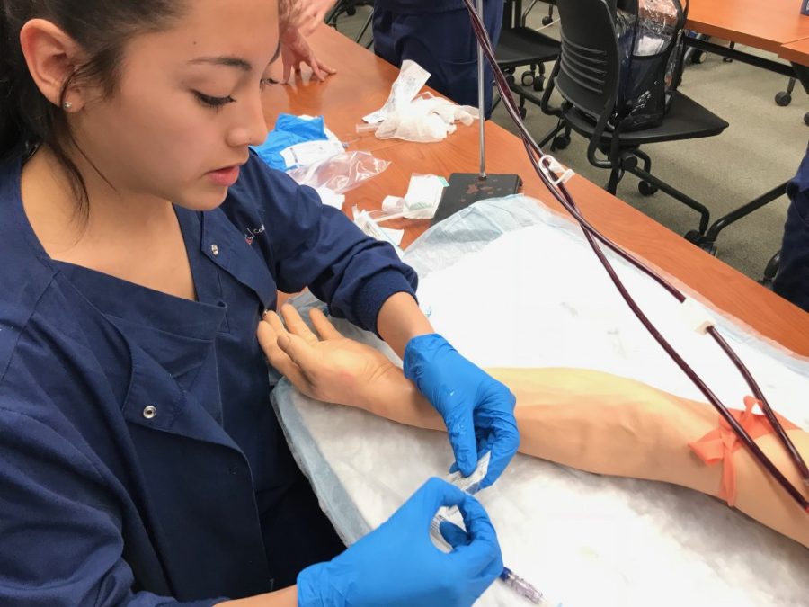 Leanna Anolin, a nursing student at the University of Arizona, practices her skills on a realistic mannequin arm during clinical training. 