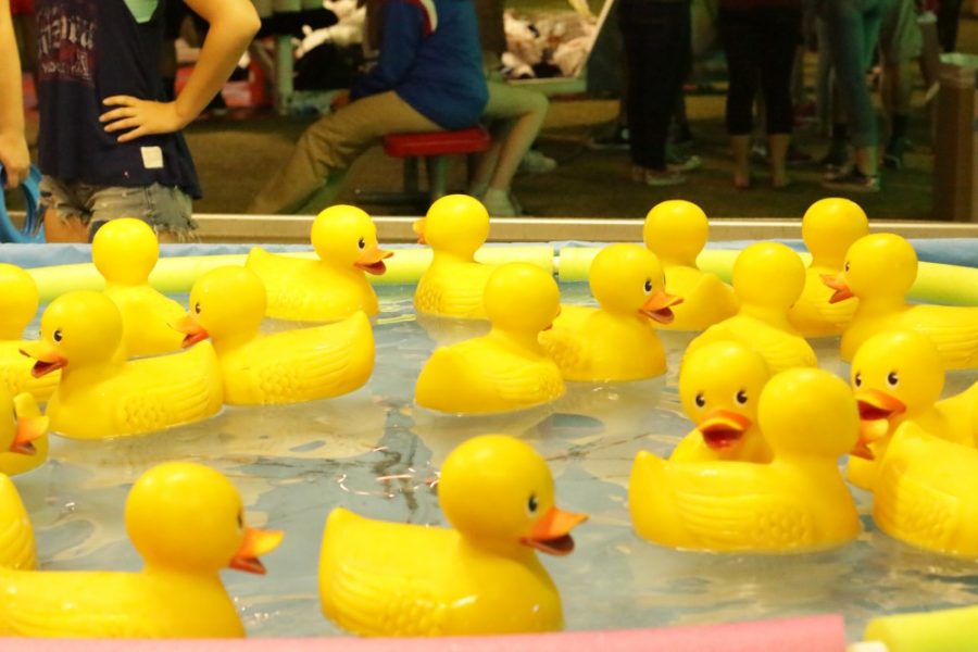 A+pool+of+rubber+ducks+at+one+of+the+game+booths+at+Spring+Fling+2016.