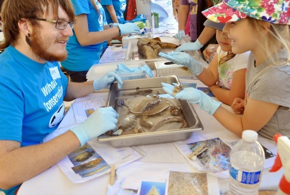 A volunteer for the Marine Awareness and Conservation Society shows marine organisms at the Science of the Natural World tent during the 2014 Tucson Festival of Books. The festival holds books and Science city on the UA mall. 