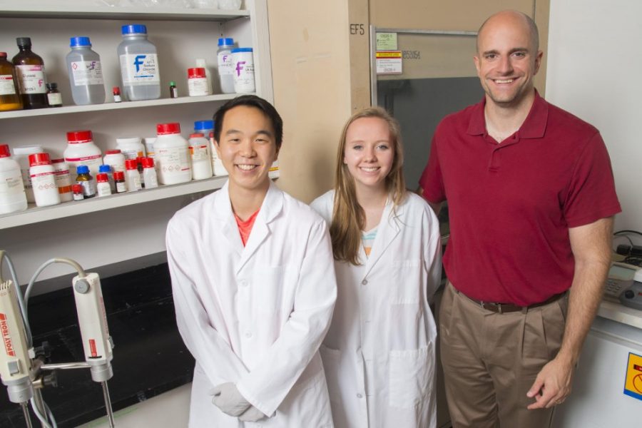 John Streicher (right), an assistant professor of pharmacology at the University of Arizona, is doing research on how the protein, heat shock protein 90, plays a role in cancer treatments. He is assisted by undergraduate student, Carrie Stine (center), and a senior who is majoring in molecular and cellular biology (left).