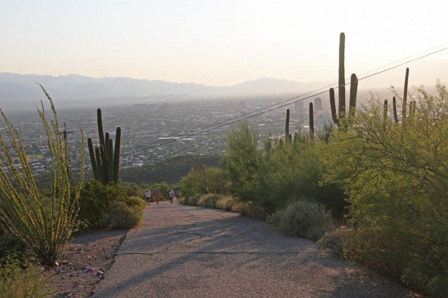A+view+of+Tucson+and+the+Sonoran+Desert+landscape+from+the+Tumamoc+Hill+hiking+trail+on+Sept.+4.