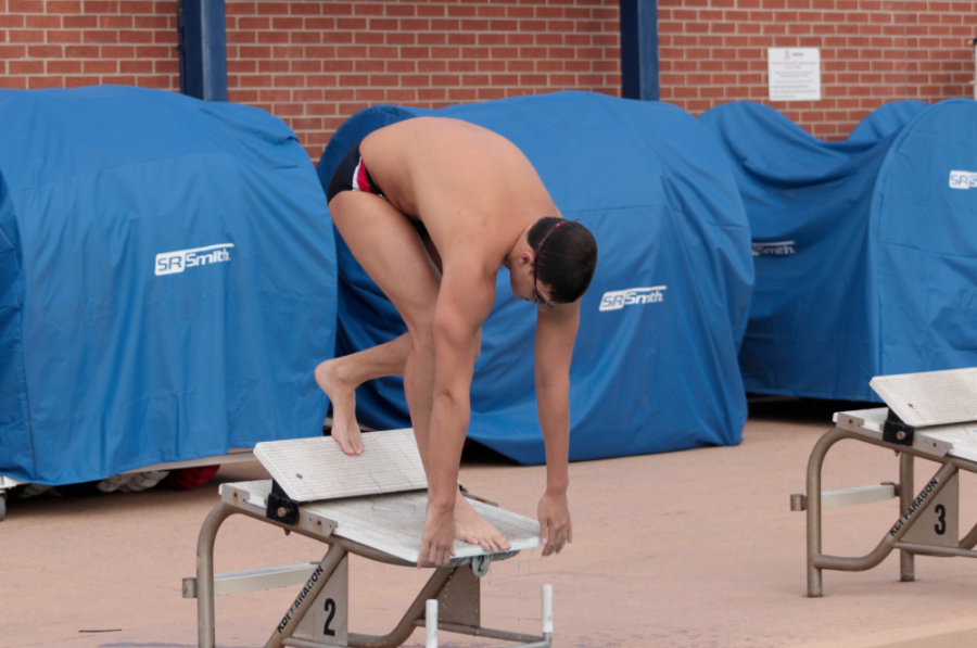  Brooks Fail, a sophomore on the UA swim team, does dives during practice. Fail is close to breaking a UA record for the 500 yard freestyle and currently has the third best time in the school’s history. 