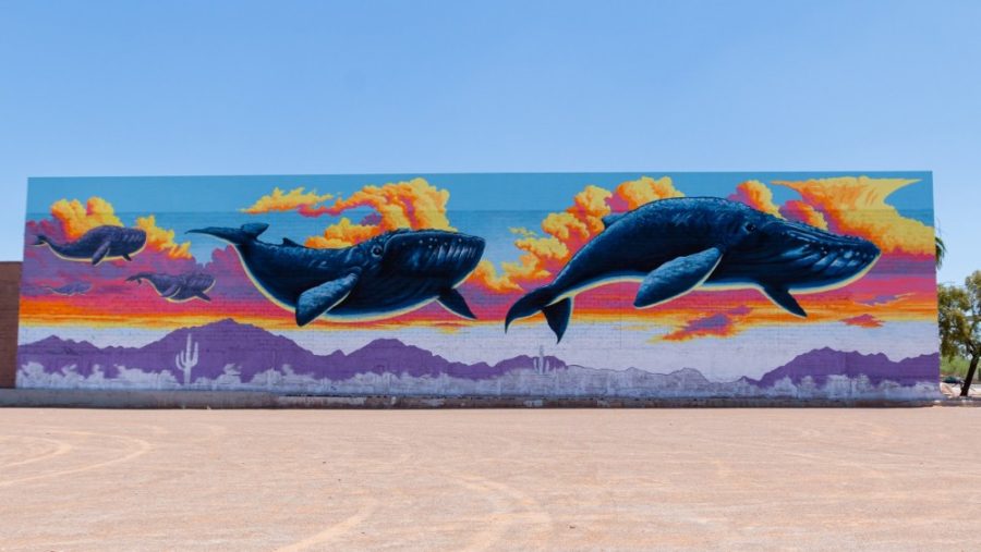 UA Alumnus Paints Tucsons Largest Mural