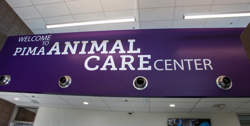 Pima Animal Care Center focuses on finding homes for homeless animals and provides information about fostering, adopting, volunteering and licensing. The PACC on Silverbell is open noon until 7 p.m. weekdays, and from 10 a.m. until 5 p.m. weekends.
