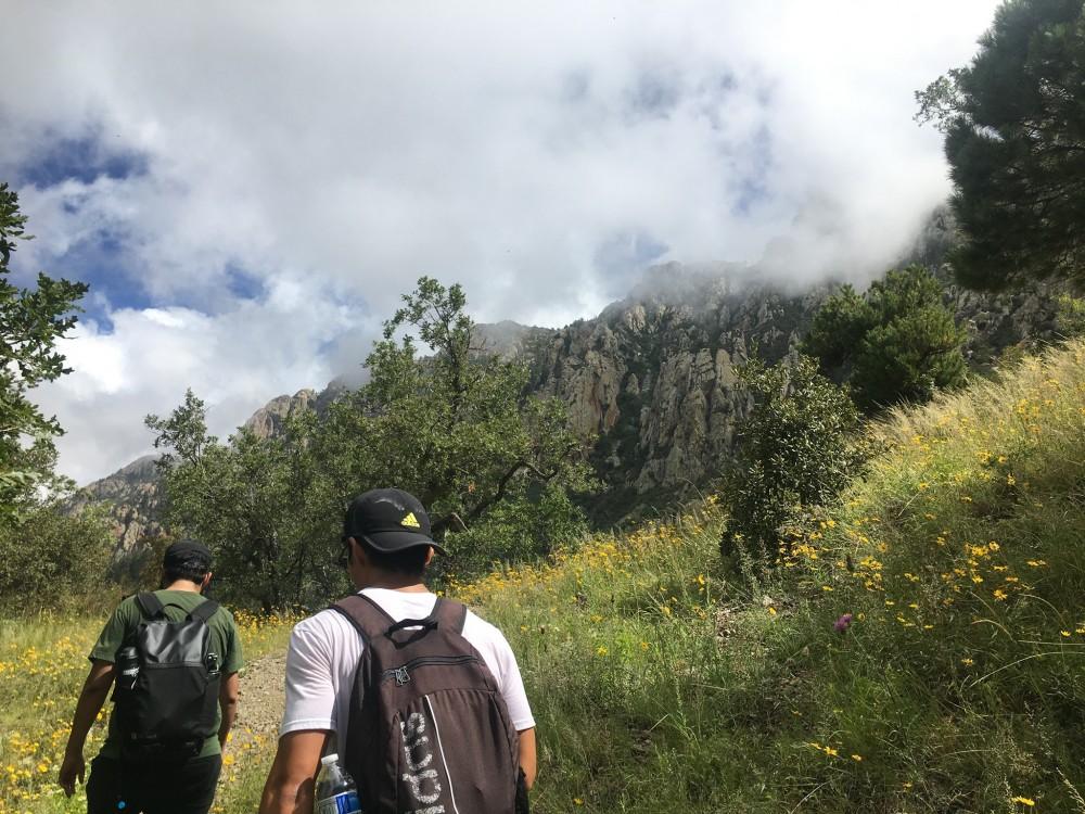 Members of the UA Ramblers Hiking Club trek the Old Baldy trail on Mount Wrightson on Sep. 21, 2019. The Ramblers Hiking Club is the oldest club on campus, and allows any member to set up a hike in and around Tucson and beyond.