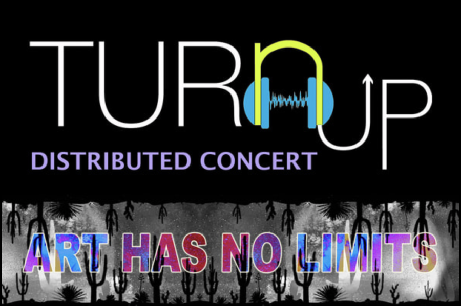 The online flyer for the TURN UP Multimedia Festival for Equality, which has persevered through event cancellations by going virtual.