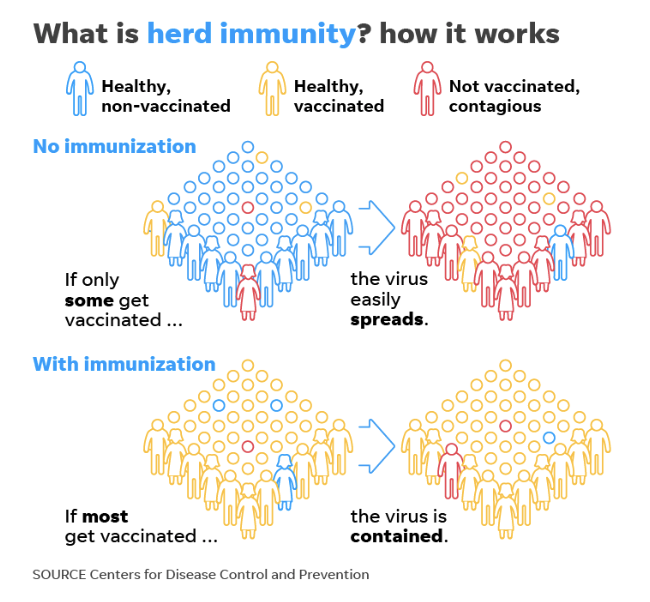 Typically, herd immunity arises when a certain percentage of the population becomes vaccinated and controls the spread of a virus.

Source: CDC