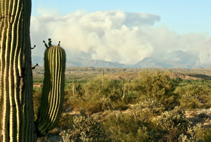 Bush Fire rising from the mountains near the Four Peaks Wilderness in Arizona. On June 15.