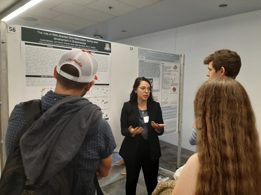 UBRP student Cecilia Martinez presents her research to a small crowd of listeners on Jan. 25 in the ENR2 building. The University of Arizona offers plenty of research opportunities to both its undergraduate and graduate students.